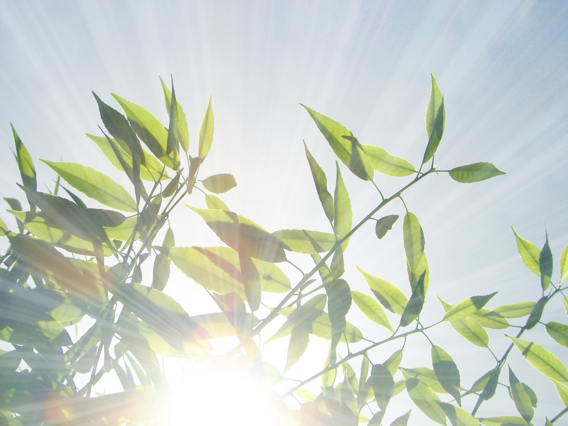 リフォーム事業